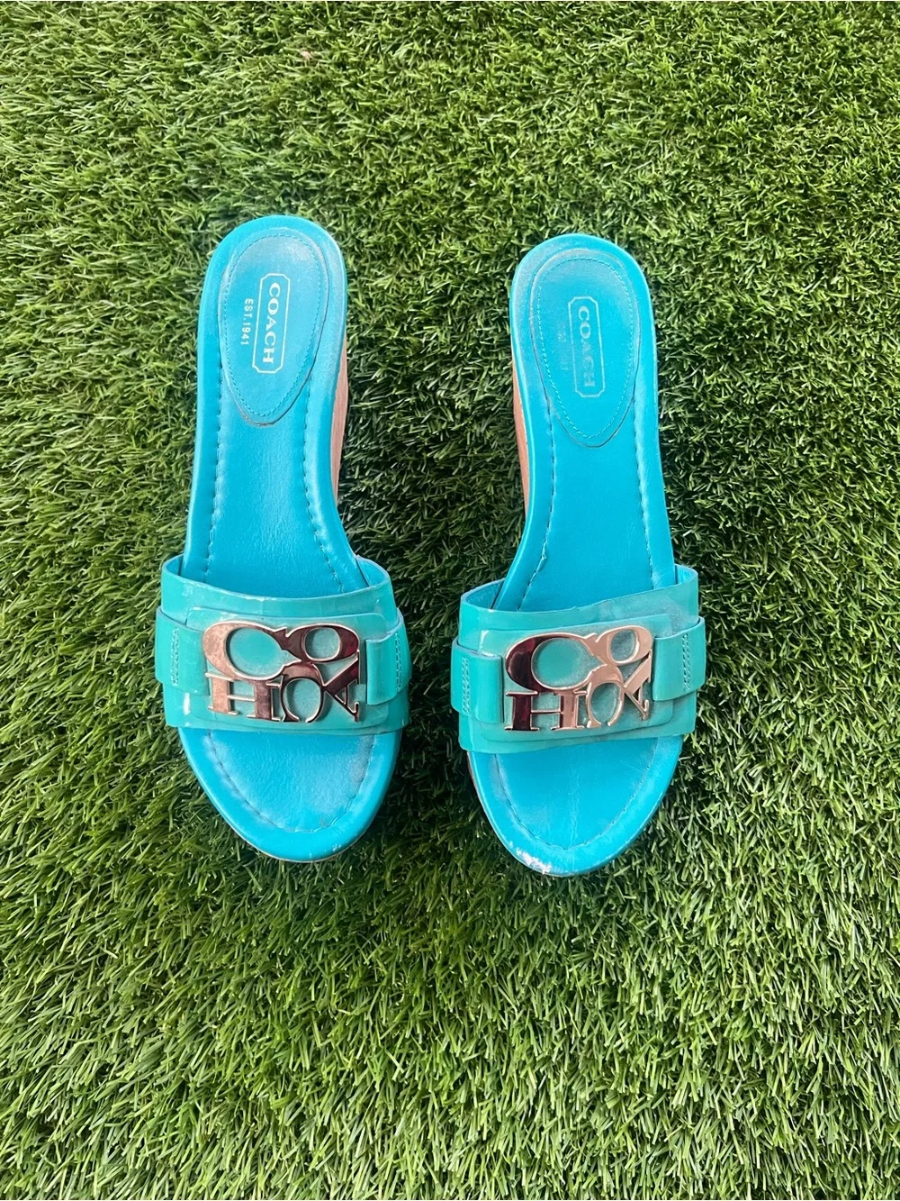 Blue coach wedge